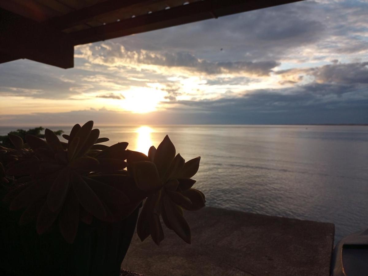 Hostel Guaratiba Casa Do Cafe Rio de Janeiro Dış mekan fotoğraf